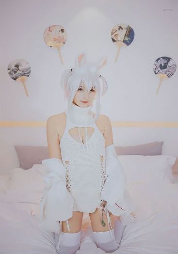男女免费观看在线爽爽爽视频_不卡在线观看