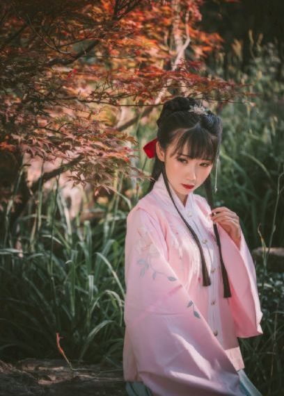 理智派生活电视剧免费观看完整版_在线影院观看